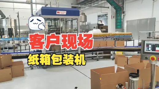 客户现场 装箱机 纸箱包装机 - 4000BPH 5L 油线